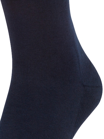 FALKE Socks 'Run' in Blue