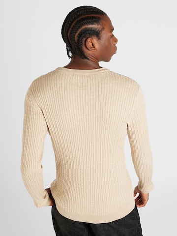 SELECTED HOMME Sweater 'BERG' in Beige