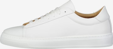 Baskets basses ROY ROBSON en blanc : devant