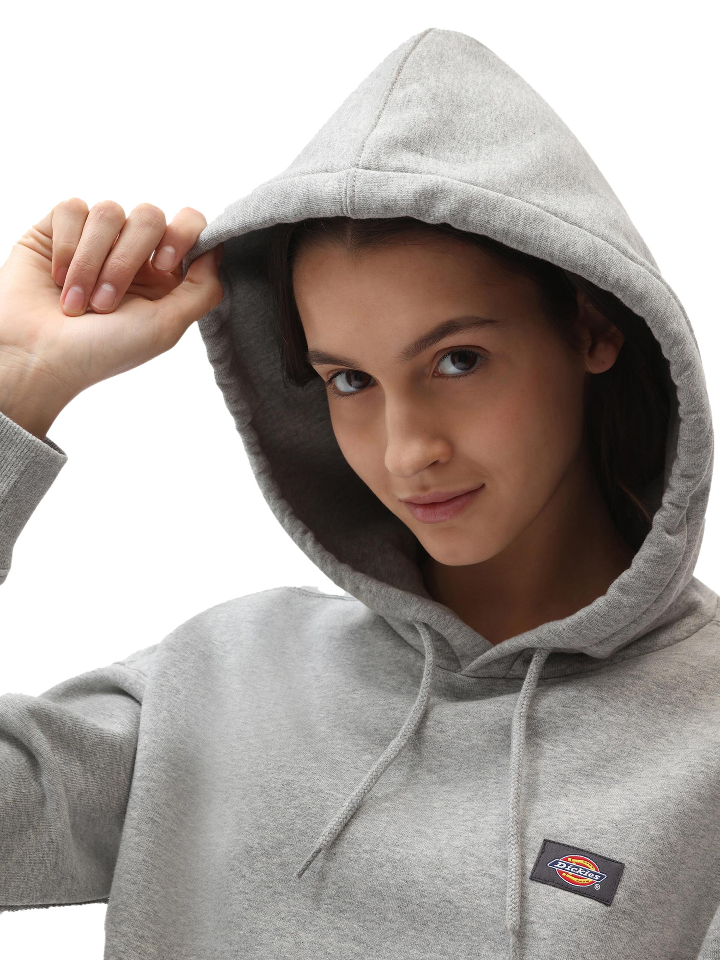 DICKIES Sweatshirt 'OAKPORT' in Grau