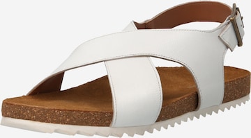Barbour Strap Sandals in White: front
