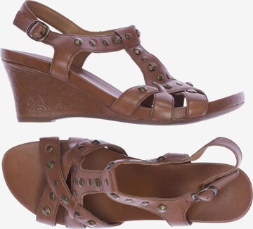Marc Shoes Sandals & High-Heeled Sandals in 39 in Brown: front