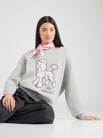 Iriedaily Pullover 'Rudy 2.0' in Grau: Vorderseite
