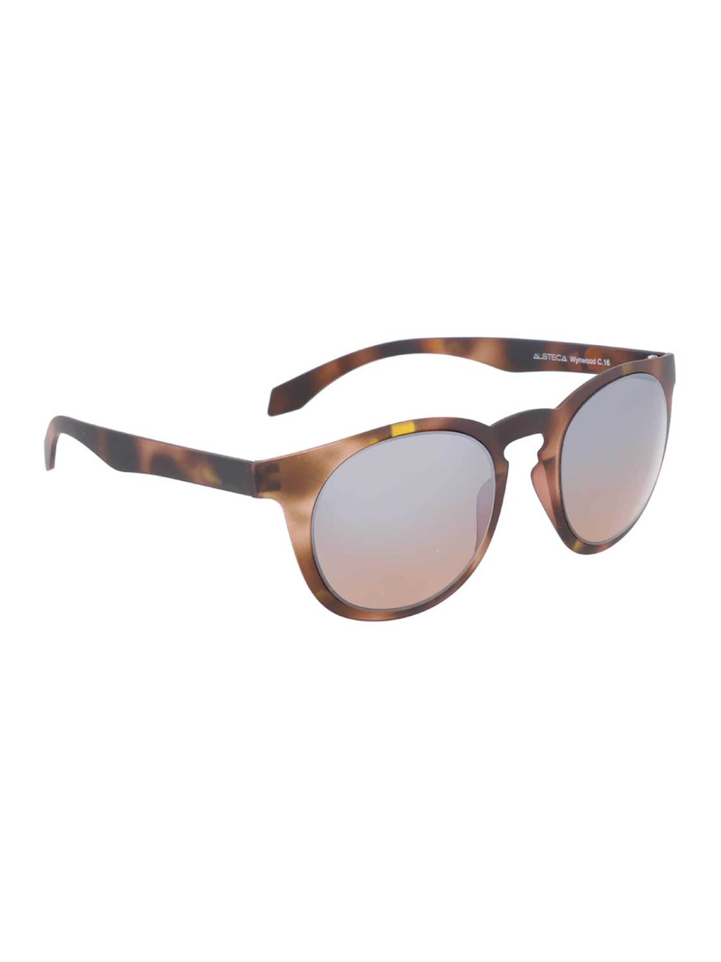 Alsteca Zonnebril 'Wynwood C16' in Bruin