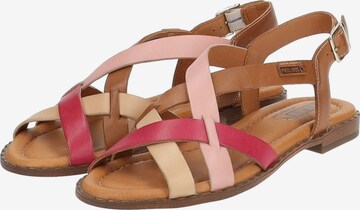 PIKOLINOS Sandalen met riem in Gemengde kleuren