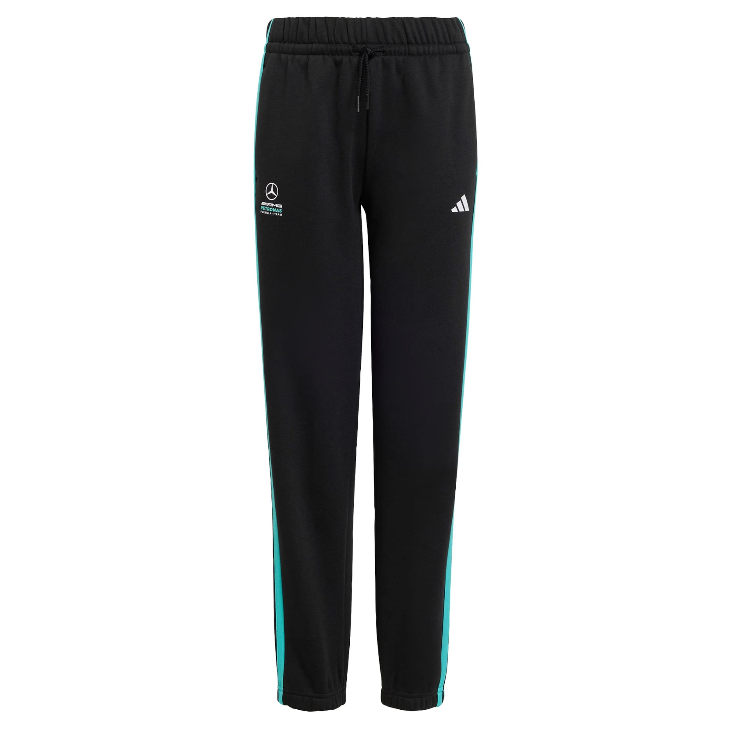 ADIDAS PERFORMANCE Regular Sportbroek 'Mercedes-AMG Petronas Formula 1 Team DNA' in Zwart: voorkant