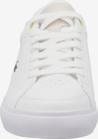 Baskets basses 'Powercourt' LACOSTE en blanc