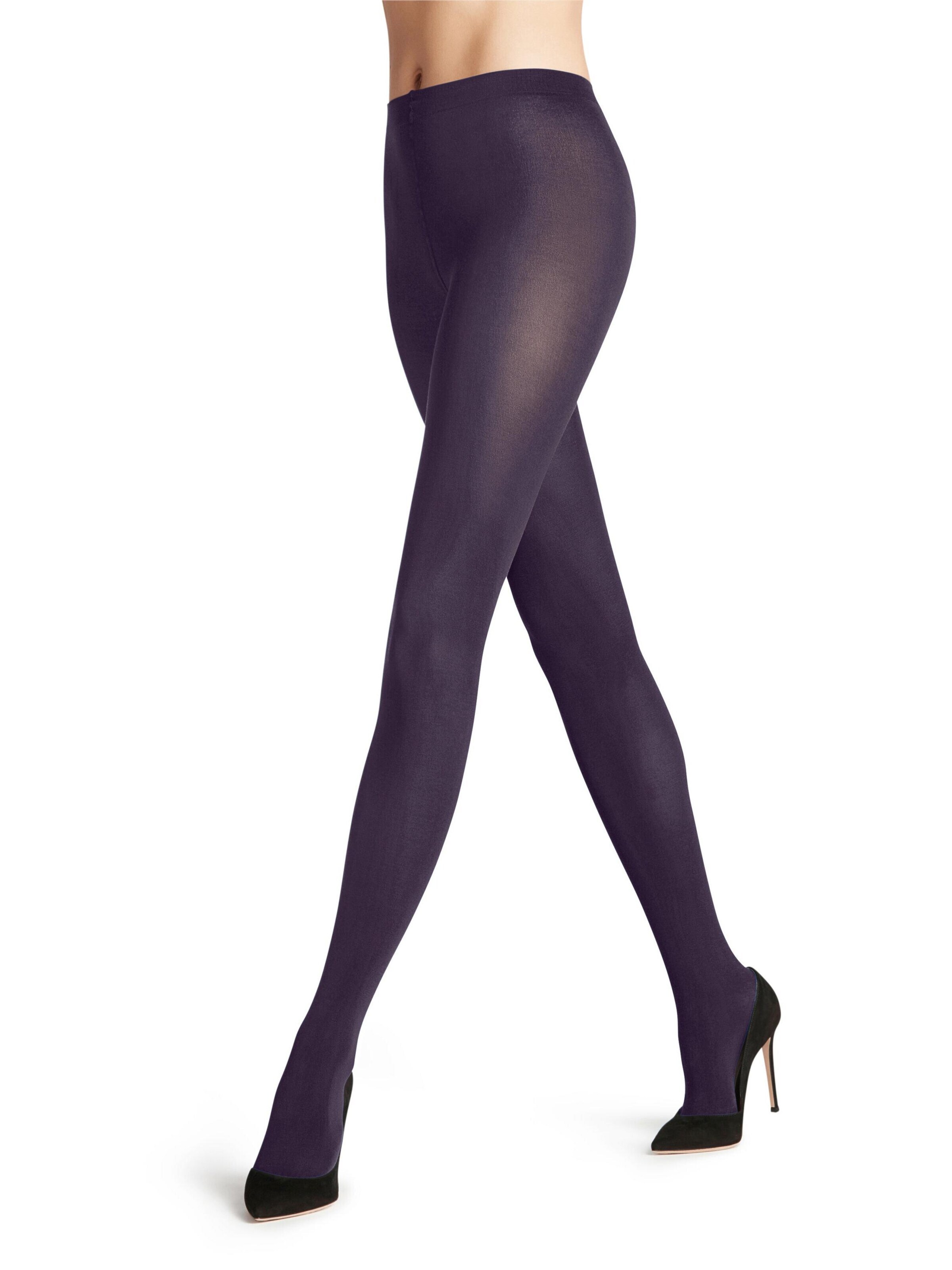 FALKE Strumpfhose 'Cotton Touch'‌‌‌‌‌‌‌‌‌‌ in Lila: Vorderseite