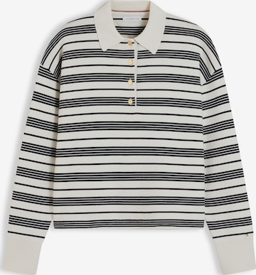 TOMMY HILFIGER - Jersey en blanco: frente