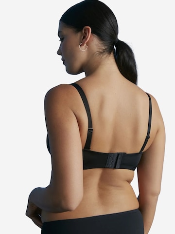Fascia Reggiseno 'BHs & Bralettes' di Penti in nero