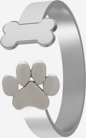 Gemshine Ring in Zilver: voorkant