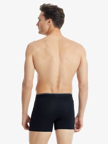 Blackspade Board shorts in Black