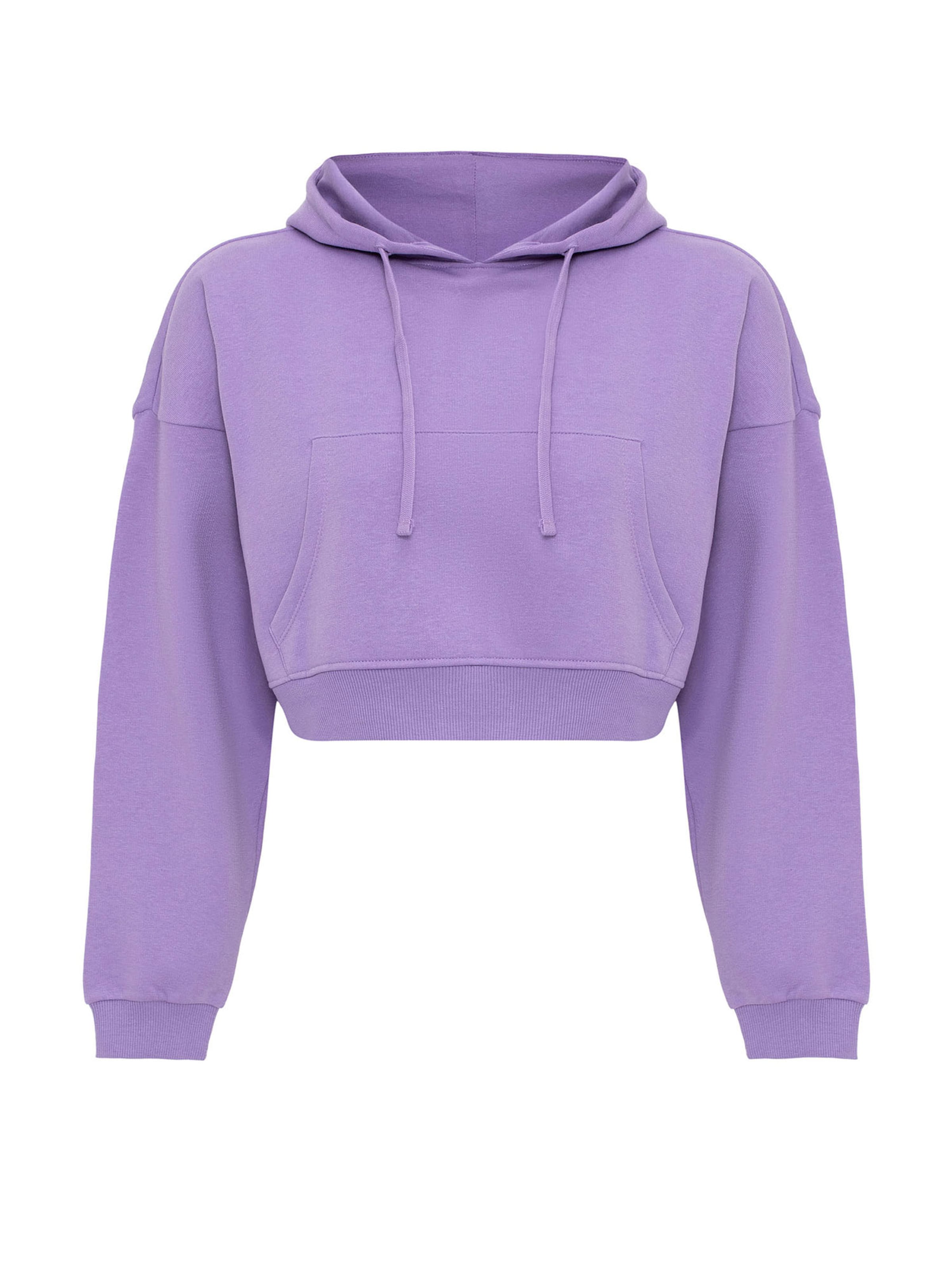 Jacey Quinn Sweatshirt in Purple: front