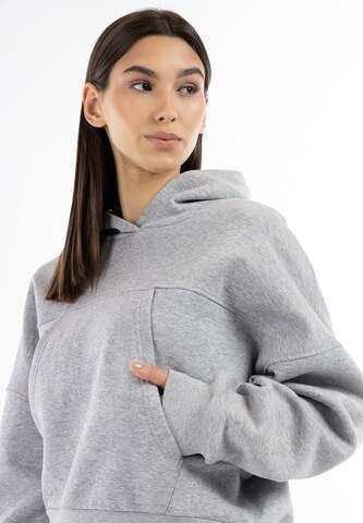 Hootomi Sweatshirt in Grau