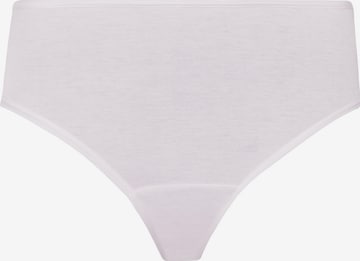 Hanro Panty ' Moments ' in Pink: front