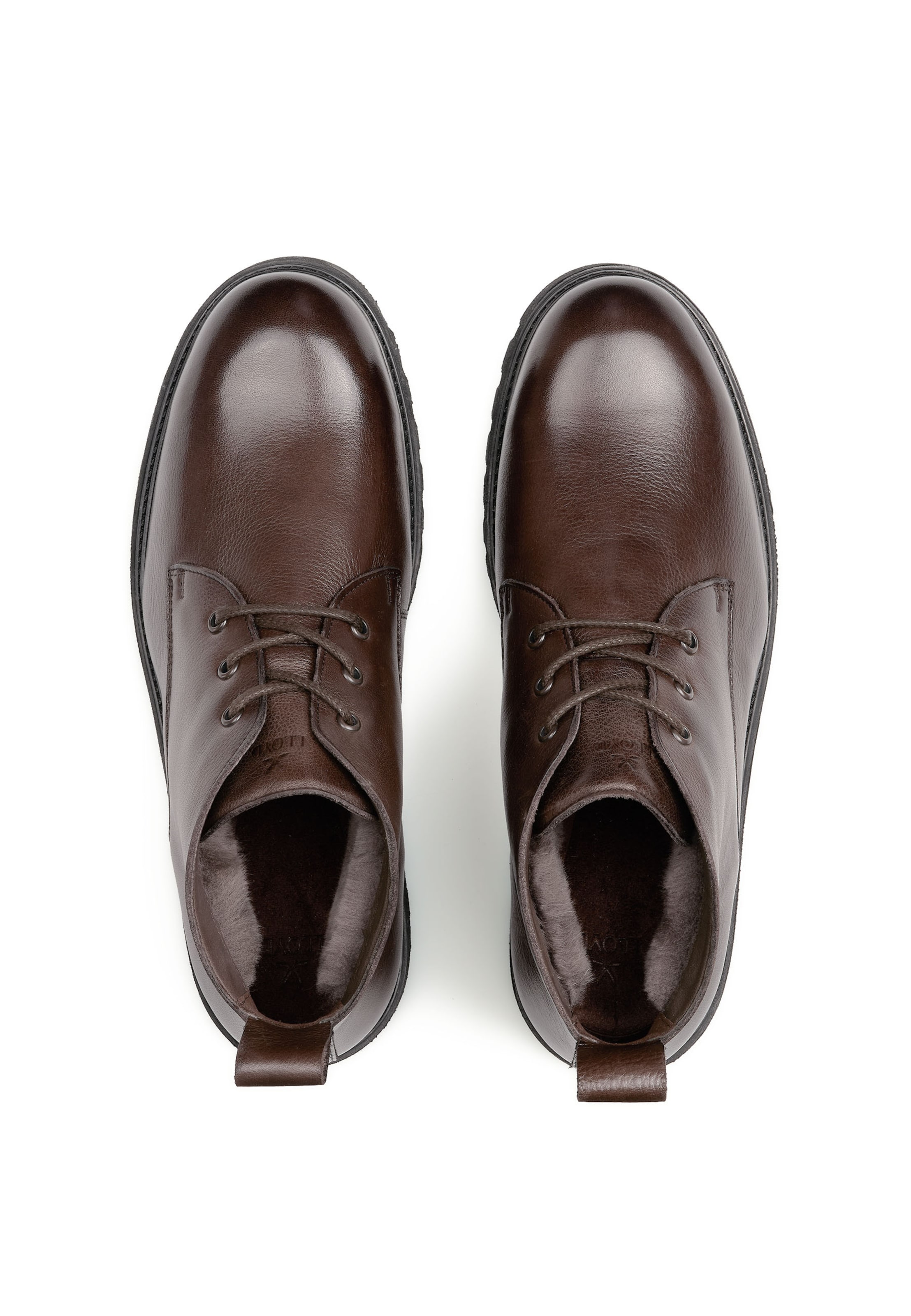 LLOYD Boots in Brown