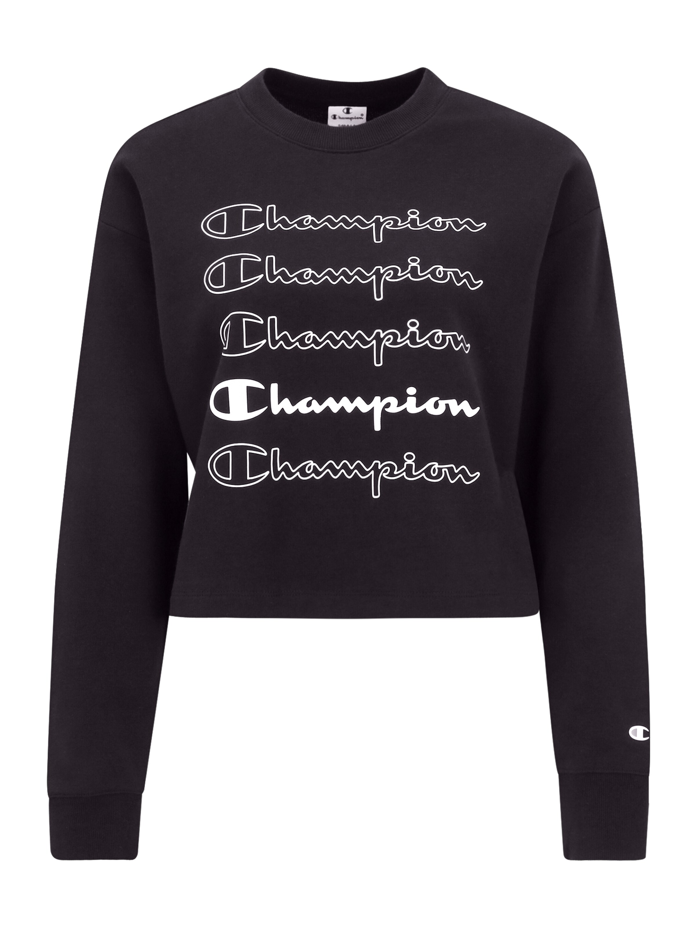 champion athletic sweater