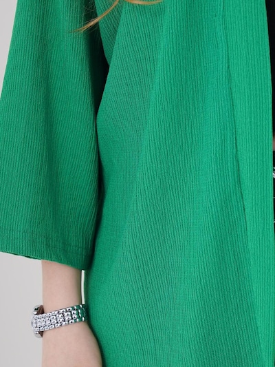 Kimono Bigdart di colore smeraldo, Visualizzazione prodotti