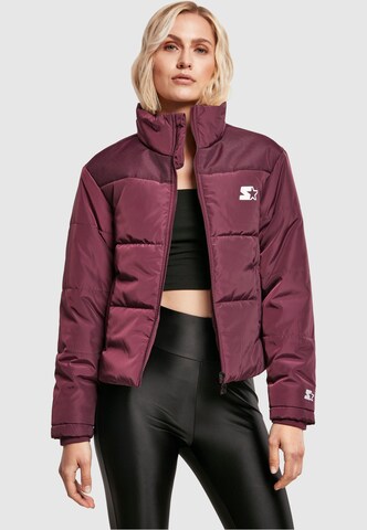 Starter Black Label Jacke in Lila