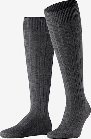 FALKE Knee High Socks 'Teppich im Schuh' in Grey: front