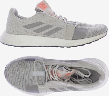 ADIDAS PERFORMANCE Sneakers & Trainers in 43,5 in Grey: front