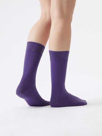Von Jungfeld Socks in Purple