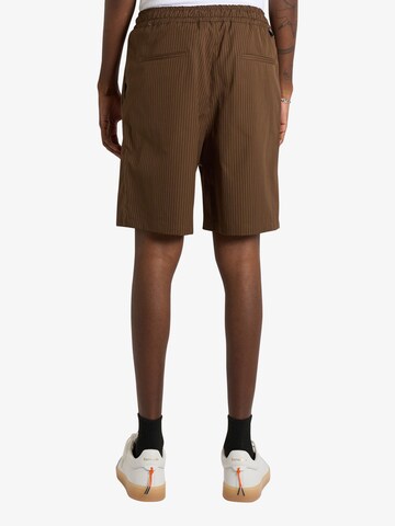 regular Pantaloni con pieghe di LOW BRAND in marrone