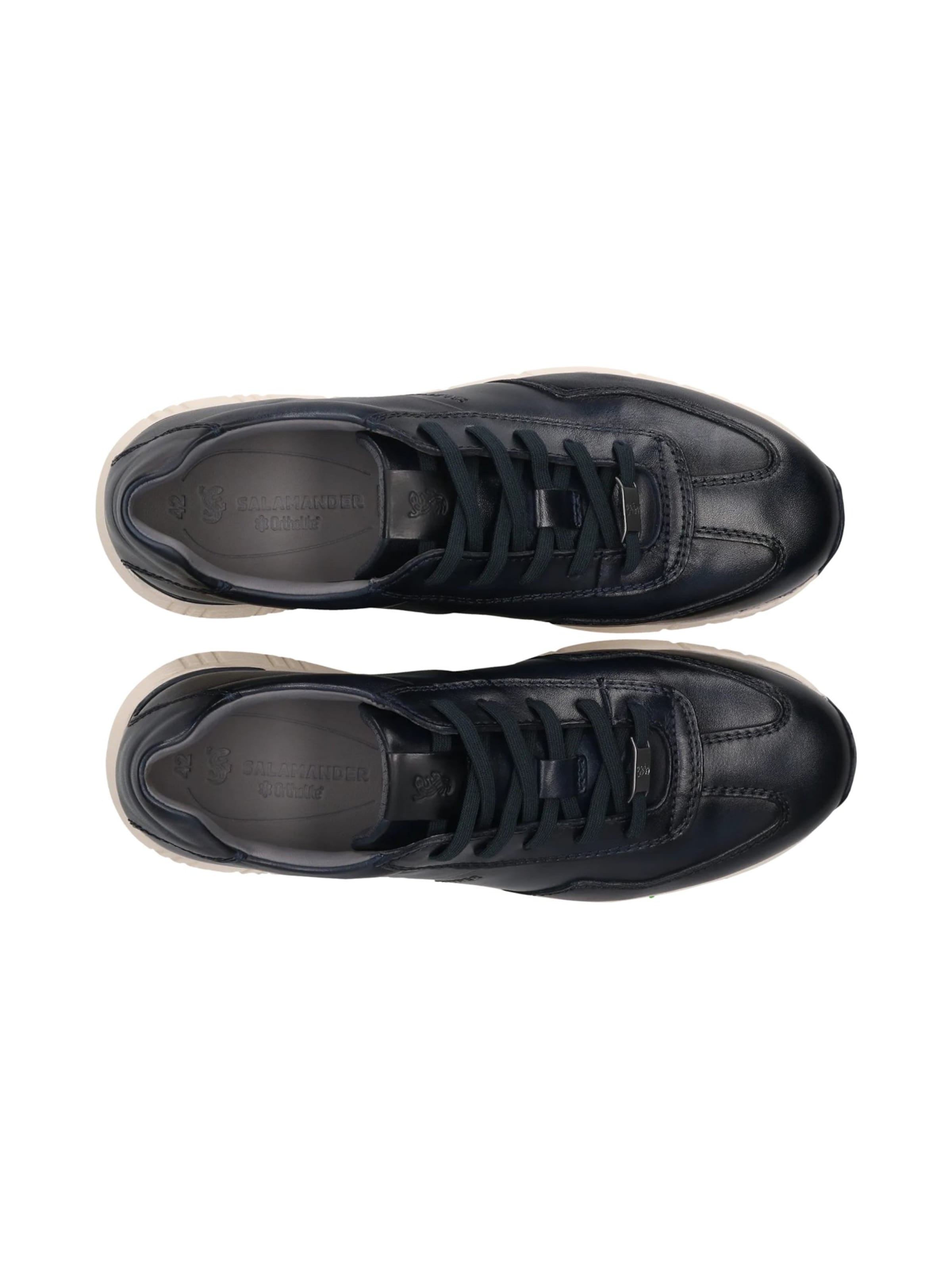 SALAMANDER Низкие кроссовки в Синий