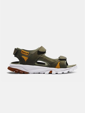 TIMBERLAND Sandals in Green