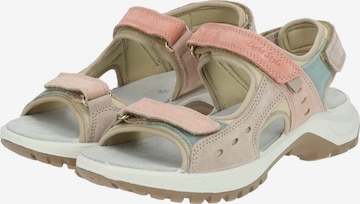 IMAC Sandals in Pink