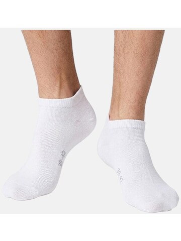 El Sueno Socks 'Sneaker Socken' in White: front