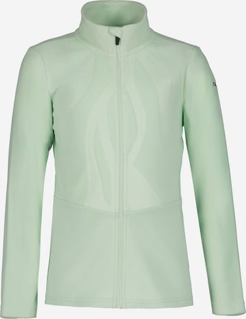 ICEPEAK Fleecejacke in Grün: Vorderseite