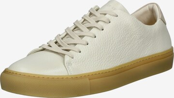 Baskets basses Sneaky Steve en gris : devant