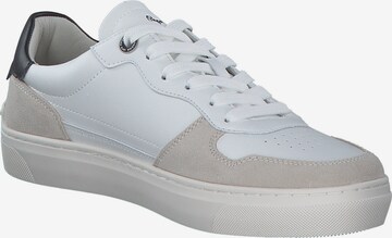 Pepe Jeans Sneakers 'CAMDEN STREET M' in White