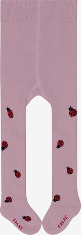FALKE Strumpfhose 'Cute Ladybug' in Pink: Vorderseite