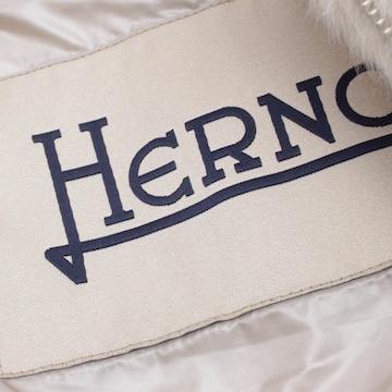 Herno Jacket & Coat in S in White