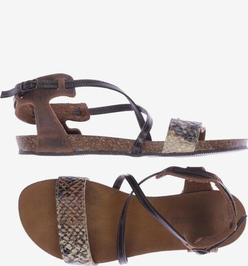 Gino Rossi Sandalen 37 in Braun: predná strana