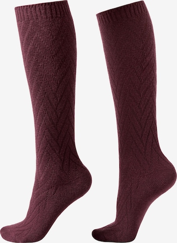 CALZEDONIA Kniestrümpfe in Rot: Vorderseite