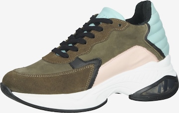 Sneaker bassa di Steven New York in verde: frontale