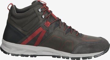 GEOX Sneakers hoog in Bruin