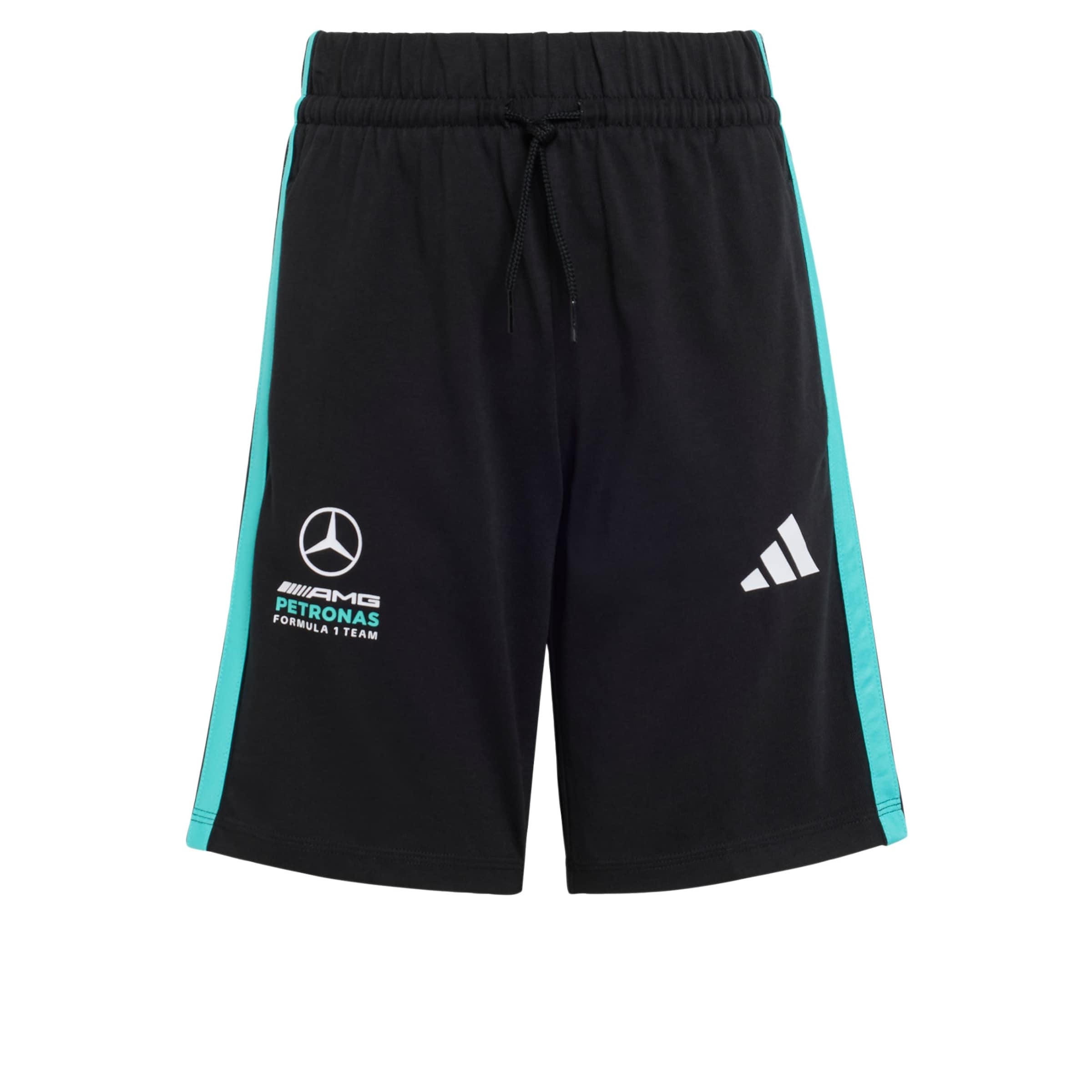 ADIDAS PERFORMANCE - regular Pantalón deportivo 'Mercedes-AMG Petronas Formula 1' en negro: frente