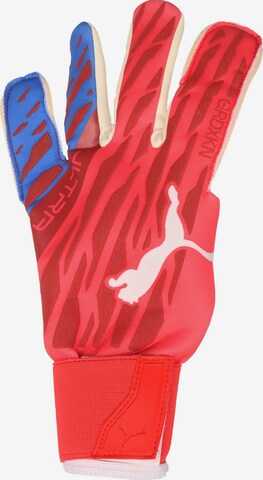 PUMA Athletic Gloves in Red: front