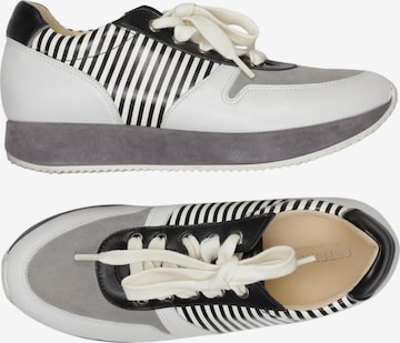 PETER KAISER Sneaker 36 in Grau: Vorderseite