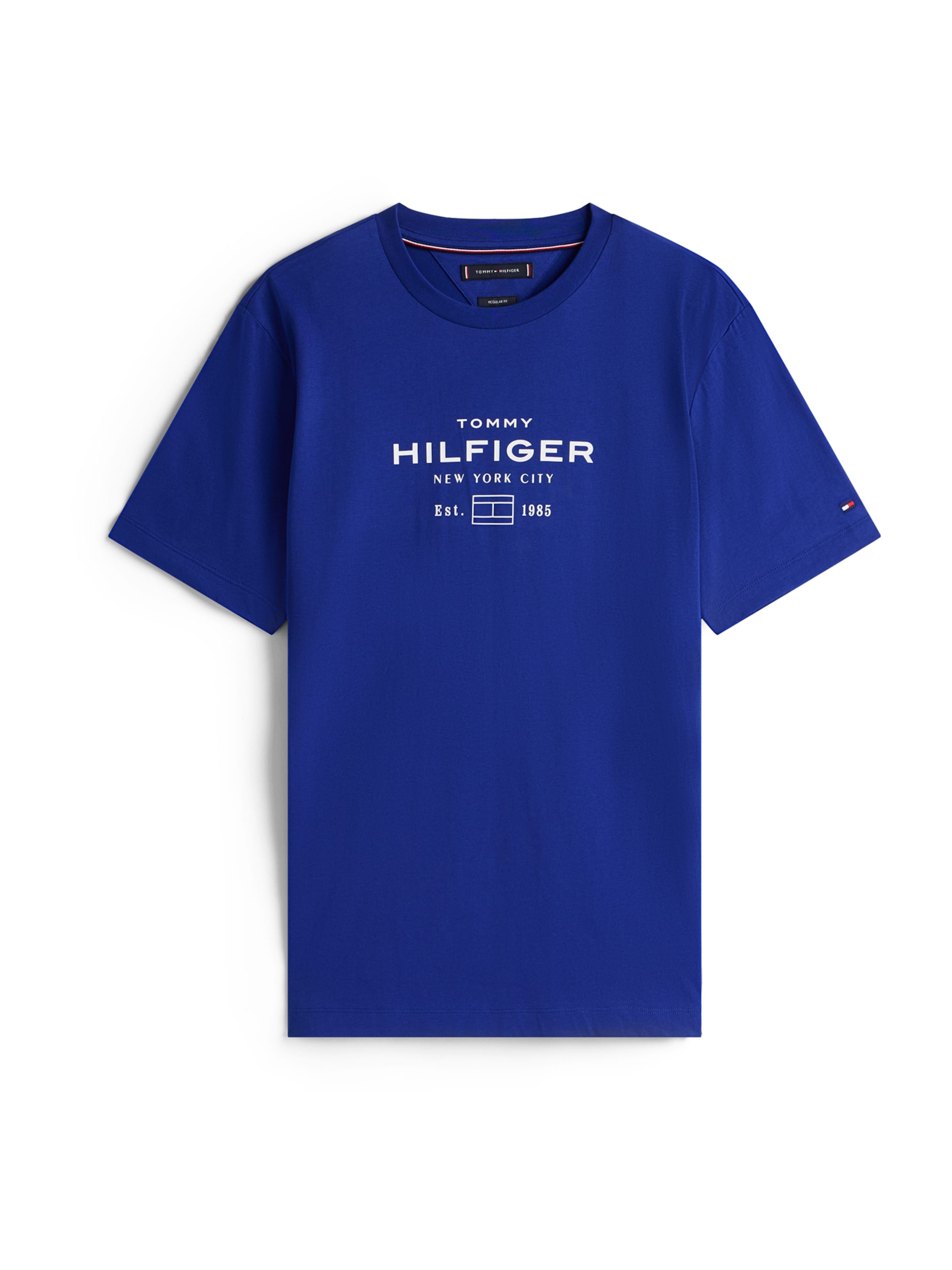 TOMMY HILFIGER Bluser & t-shirts i blå: forside