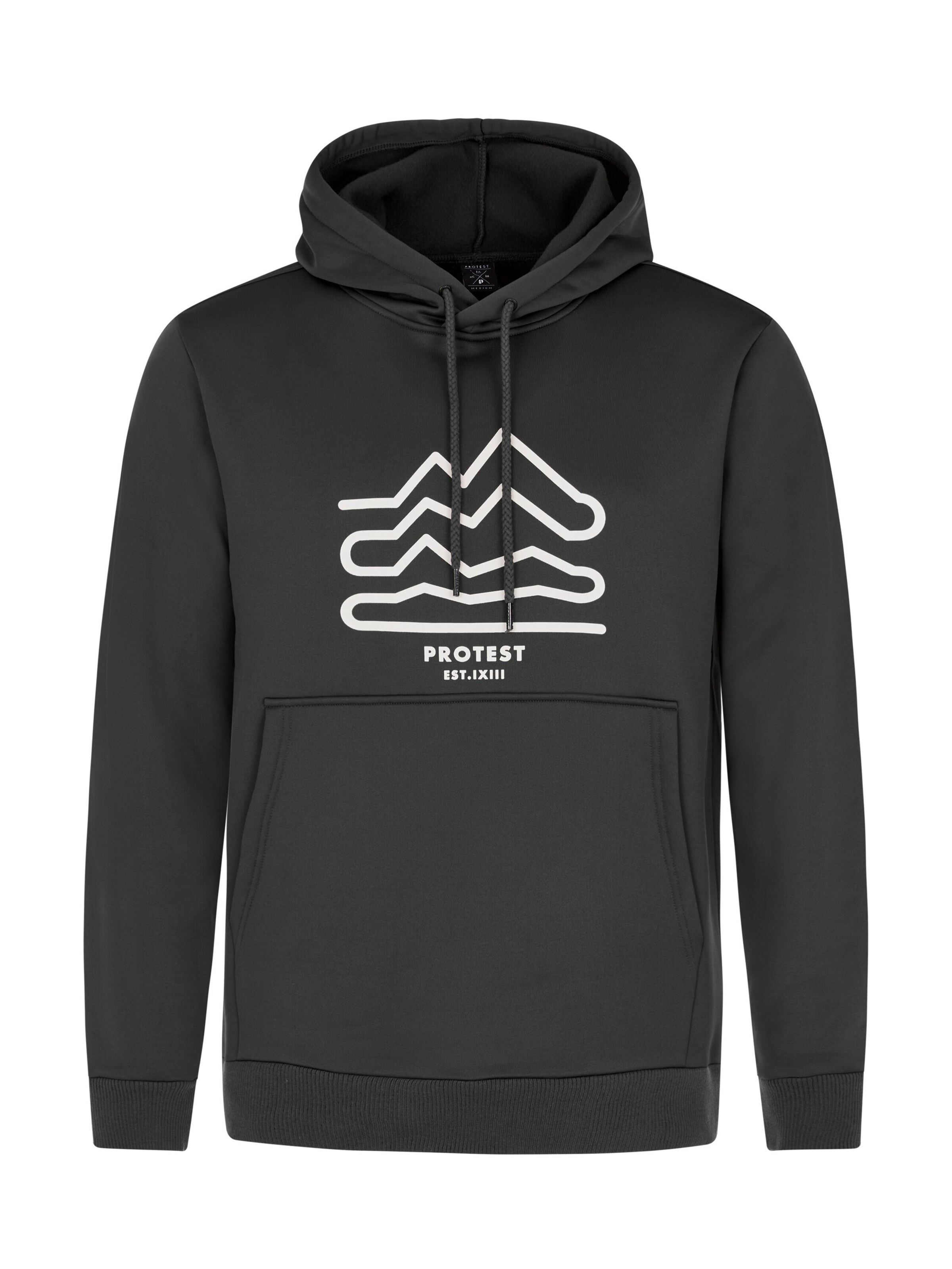 PROTEST Sweatshirt 'PRTKERRA'‌‌‌‌‌‌‌‌ in Grau: Vorderseite
