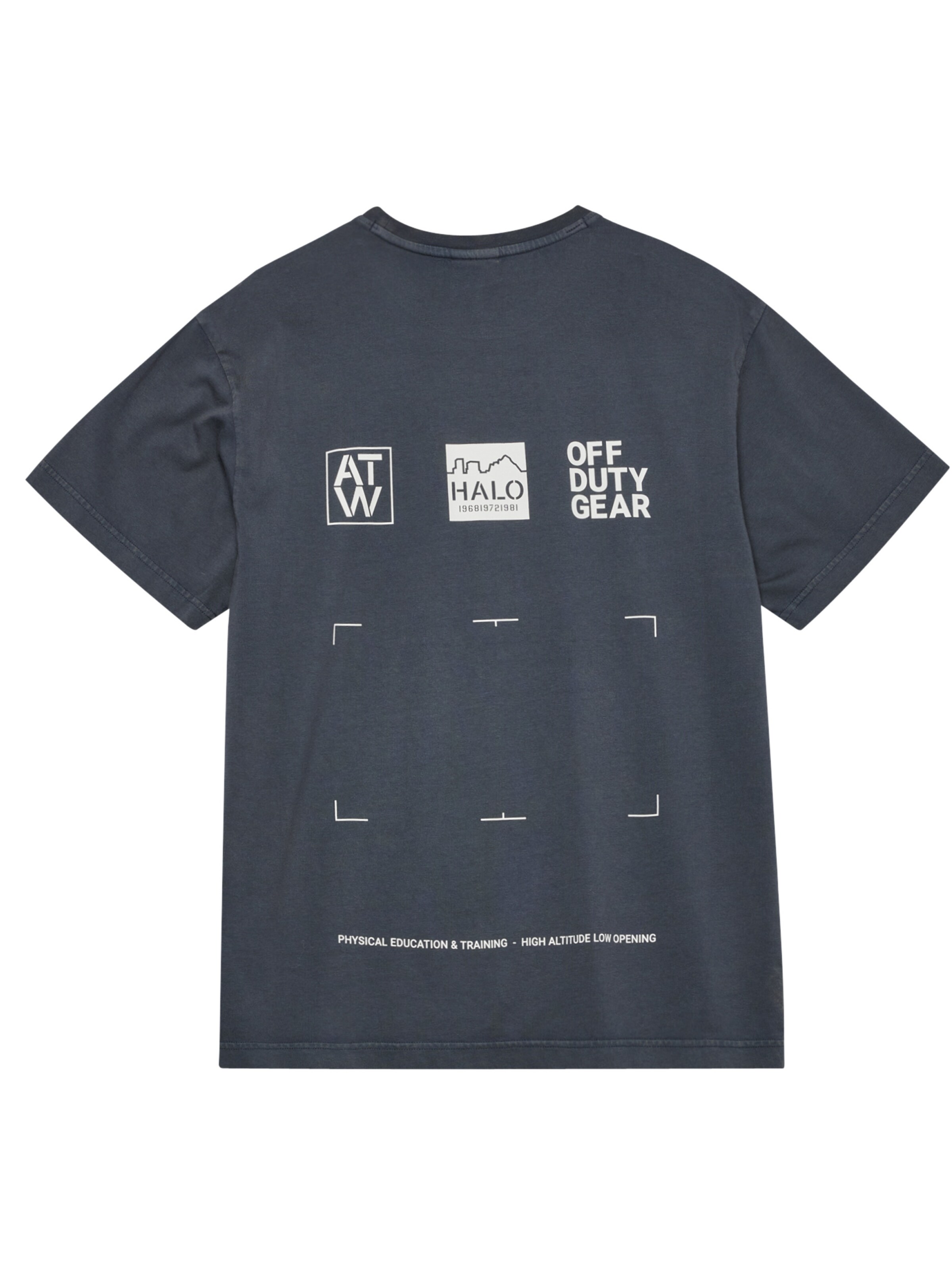 HALO Shirt in Grijs