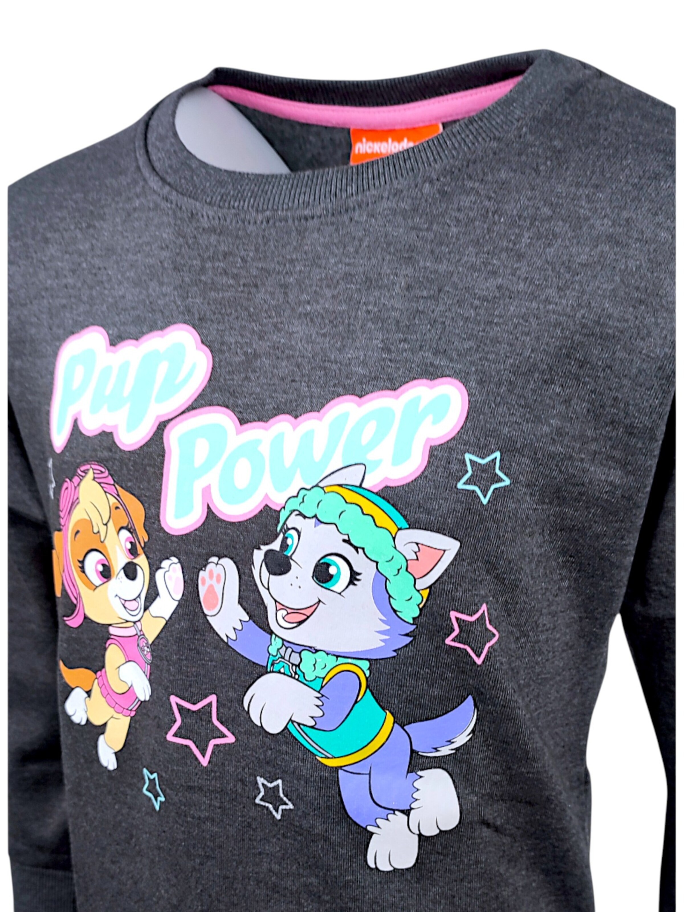 Paw Patrol Sweatshirt 'Skye'‌‌‌‌ in Grau