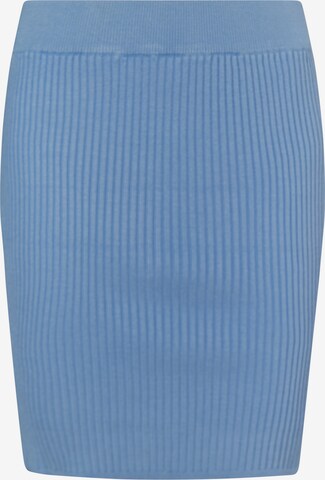 myMo at night Skirt 'Blonda' in Blue: front