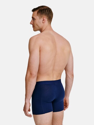 DANISH ENDURANCE Pants 'Classic Trunks' in Blau