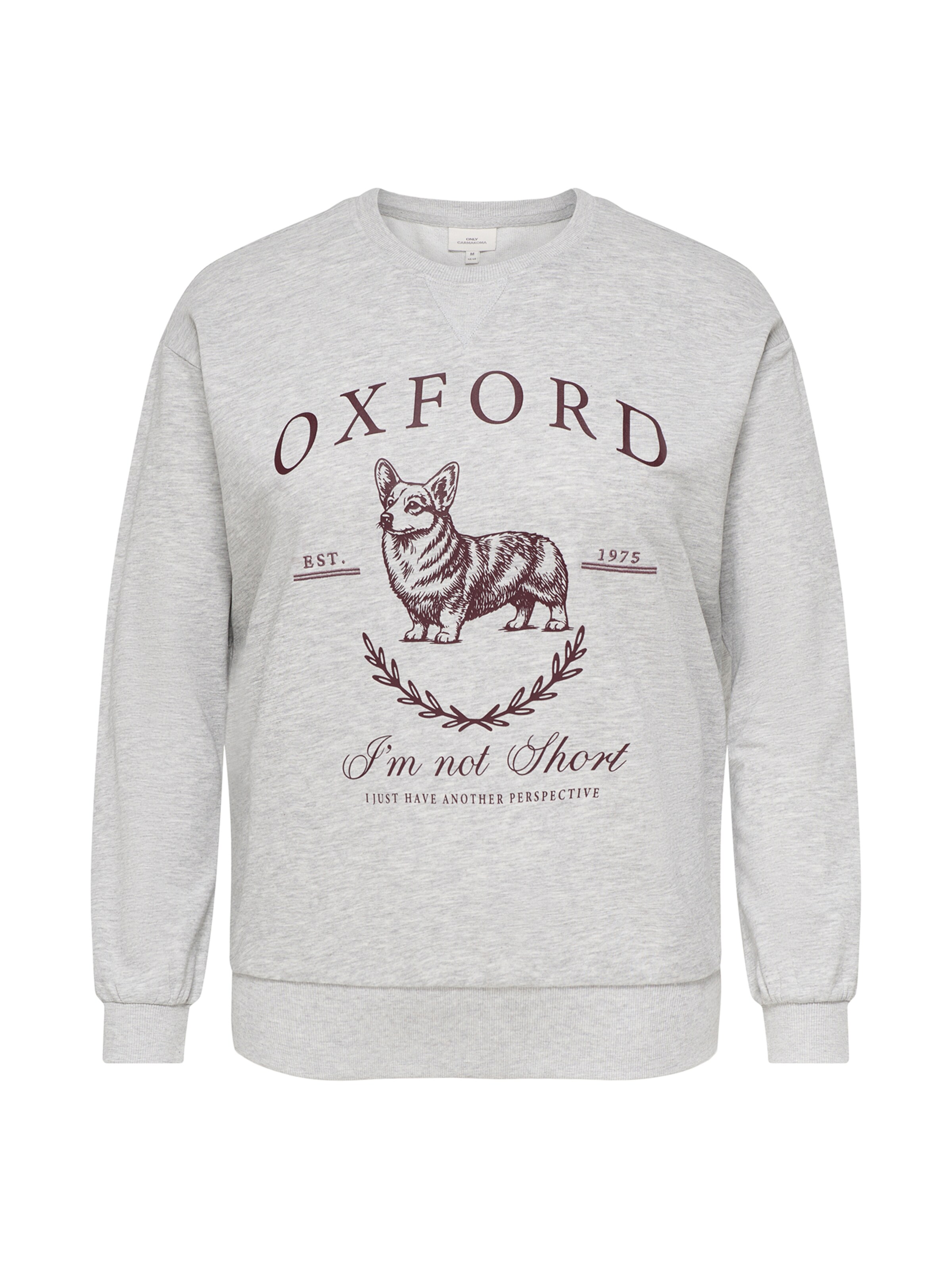 ONLY Carmakoma - Sudadera 'CARAMELIA' en gris: frente